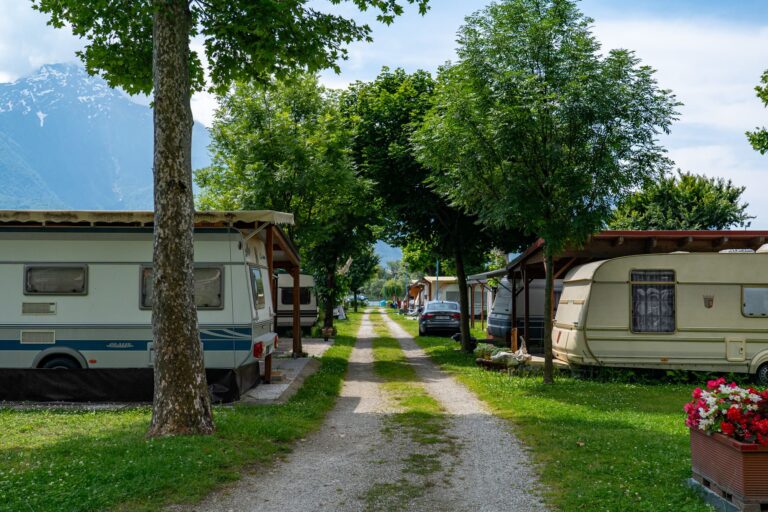 Le strade interne del campeggio circondate di verde